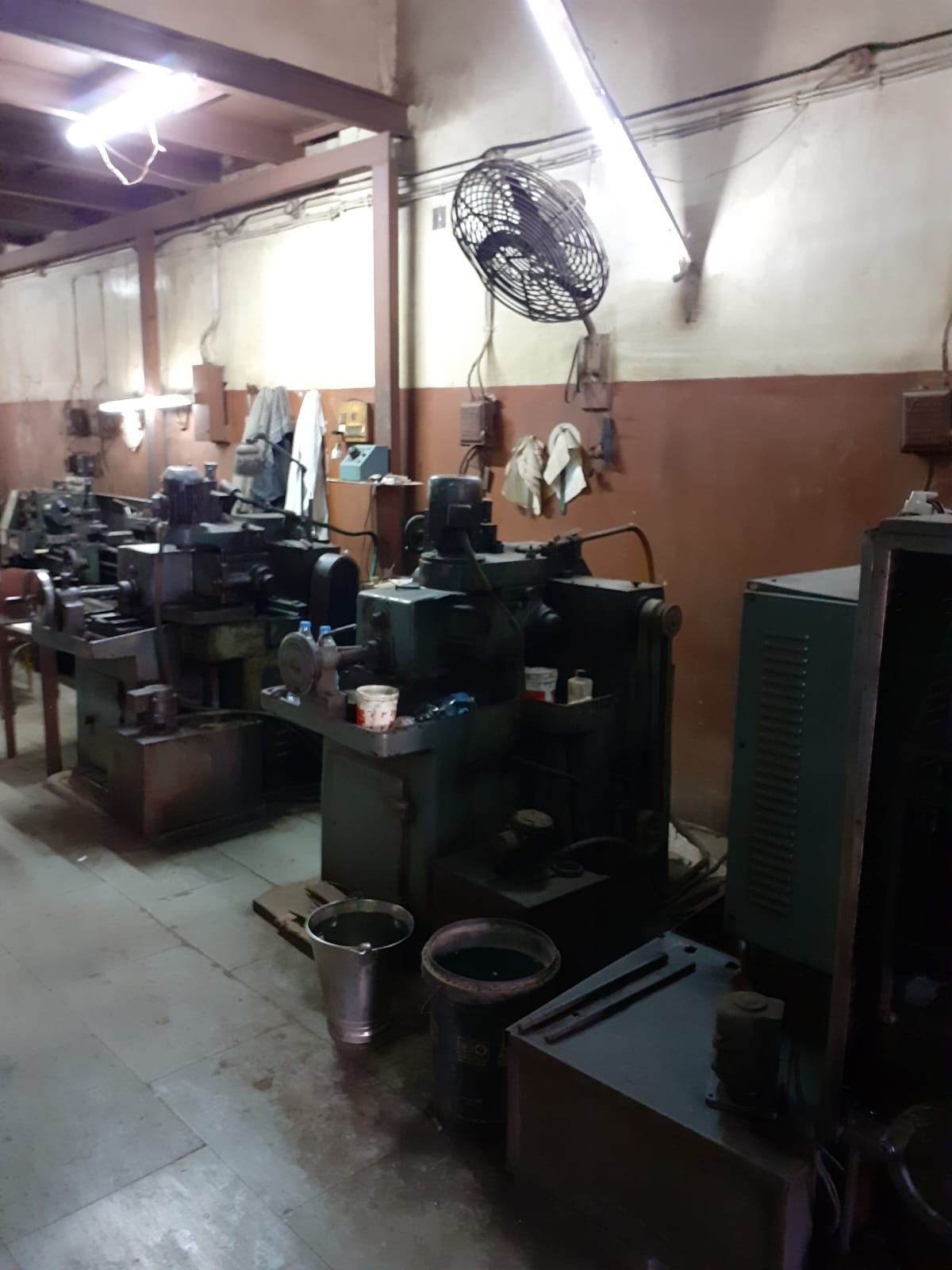 Bearing Gallery 1